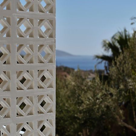 Doryssa Lithos Hotel Питагорио Екстериор снимка